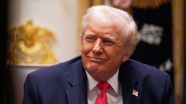 morning-glory:-democrats-have-just-handed-trump-the-chance-to-fix-immigration