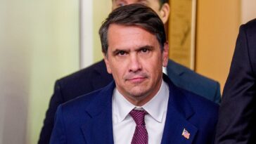 deputy-ag-details-‘massive-underground-fraud-network’-allegedly-behind-minneapolis-anti-ice-push