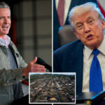 gavin-newsom-attacks-trump’s-wildfire-rebuild-order-in-bizarre-rant:-‘piss-on-the-grasshoppers-to-hear-them-sing’