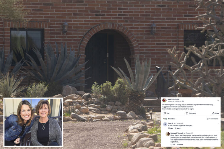 nancy-guthrie-once-asked-about-‘best’-outdoor-cameras-for-‘activity-at-night’-in-social-media-post