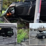 crazed-agitators-attacking-dhs-vehicles-at-an-alarming-rate:-‘incited-violence’