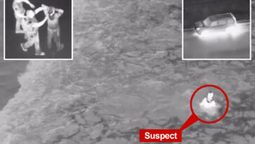 swim-witted-car-thief-tries-to-ditch-california-cops-by-diving-into-ocean