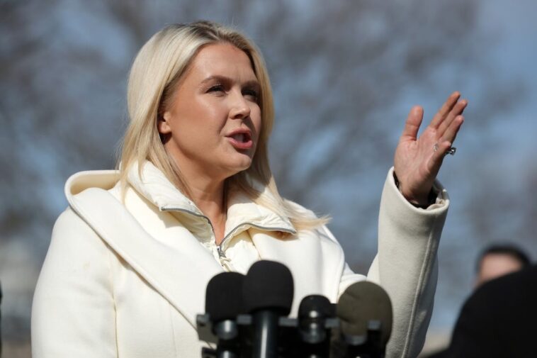 ‘very-ironic’:-karoline-leavitt-blasts-anti-ice-celebs