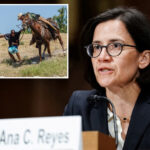 judge-who-blocked-trump’s-haitian-deportations-bankrolled-dems-—-including-biden-who-let-migrants-in