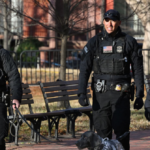 us.-secret-service-returns-elderly-woman’s-stolen-$950,000-in-life-savings