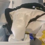 chinese-linked-biolab-discovered-in-las-vegas-home-sparks-federal-investigation-with-swat-response