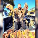 falling-frozen-iguanas:-cold-snap-in-florida-has-lizards-getting-into-a-coma-like-state-and-dropping-from-trees-(videos)