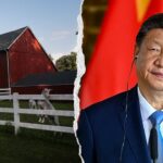 lawmakers-probe-national-ffa-over-chinese-communist-party-ties-and-dei-programs