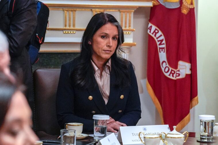 complaint-accuses-tulsi-gabbard-of-playing-politics-with-intelligence-—-which-spy-agency-rejects