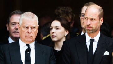 ex-prince-andrew-entangled-in-epstein’s-‘house-of-horrors’-triggers-new-nightmare-for-prince-william:-experts