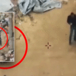 hamas-terrorists-use-ambulances,-schools,-hospitals-in-violation-of-us-brokered-ceasefire,-idf-official-says