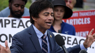 dem-rep.-thanedar:-just-abolishing-ice-isn’t-enough