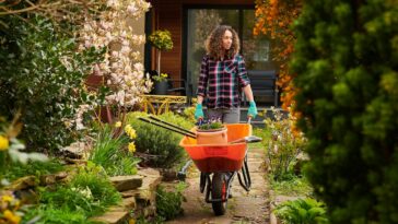 19-lawn-and-garden-products-worth-buying-before-spring-hits