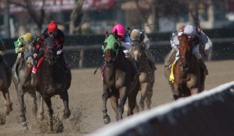 vic-c’s-aqueduct-picks-and-entries-for-wednesday,-feb.-4 