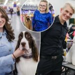 stressed-out-owners,-pooches-get-glam:-as-westminster’s-winner-is-crowned,-the-post-goes-behind-the-scenes-for-the-real-action