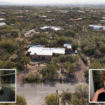 nancy-guthrie’s-neighbor-says-he’s-‘never-heard-of-crime’-in-suburb-so-safe-that-there-is-no-need-for-streetlights