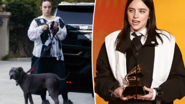 reporter-puts-billie-eilish’s-‘stolen-land’-grammys-rant-to-the-test-at-her-$3m-home:-‘let-us-in,-please’