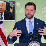 vp-vance-to-lead-california-anti-fraud-task-force:-report