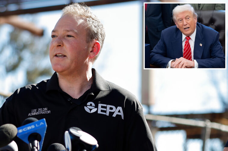 zeldin-slams-newsom,-says-his-daily-shots-at-trump-are-hurting-fire-victims