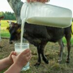 newborn-baby’s-death-‘most-likely’-caused-from-mother’s-raw-milk-consumption,-health-officials-say