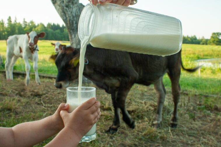 newborn-baby’s-death-‘most-likely’-caused-from-mother’s-raw-milk-consumption,-health-officials-say