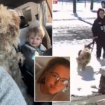 north-carolina-vet-tech-dason-garner-charged,-fired-after-rescuing-abandoned-dog-during-snowstorm