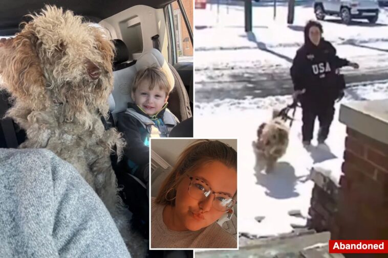 north-carolina-vet-tech-dason-garner-charged,-fired-after-rescuing-abandoned-dog-during-snowstorm