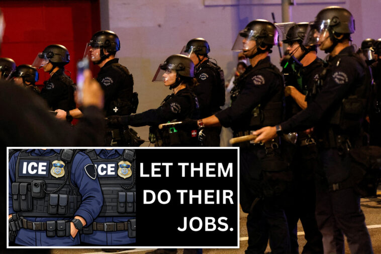 pro-ice-billboards-calling-out-‘liberal-hypocrisy’-go-up-in-swing-states:-‘let-them-do-their-jobs’