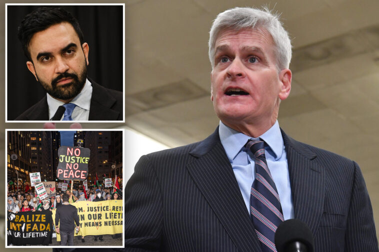 senate-launches-probe-of-mamdani’s-anti-israel-orders,-threatens-nyc’s-federal-funding