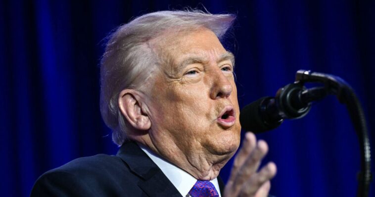 pure-gold:-watch-trump’s-response-when-asked-if-he’ll-be-in-office-on-jan-21,-2029-–-‘wouldn’t-it-be-terrible-if-i…’