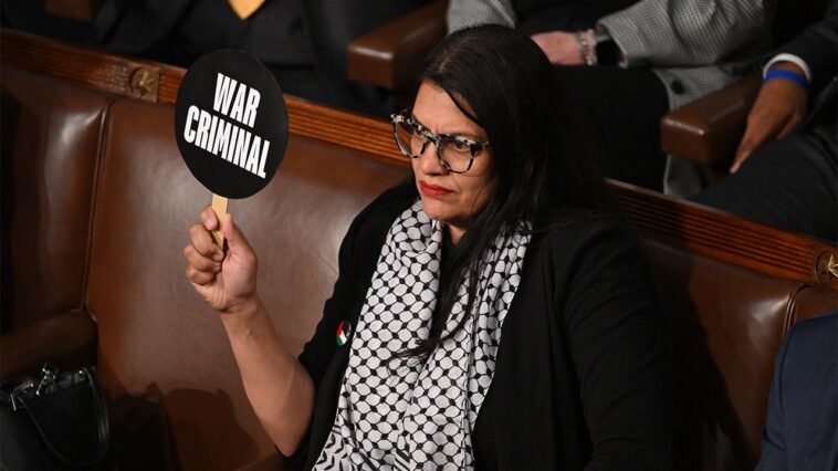 watchdog-releases-scathing-report-on-tlaib’s-alleged-ties-to-terrorist-groups,-warning-of-‘potential-risks’