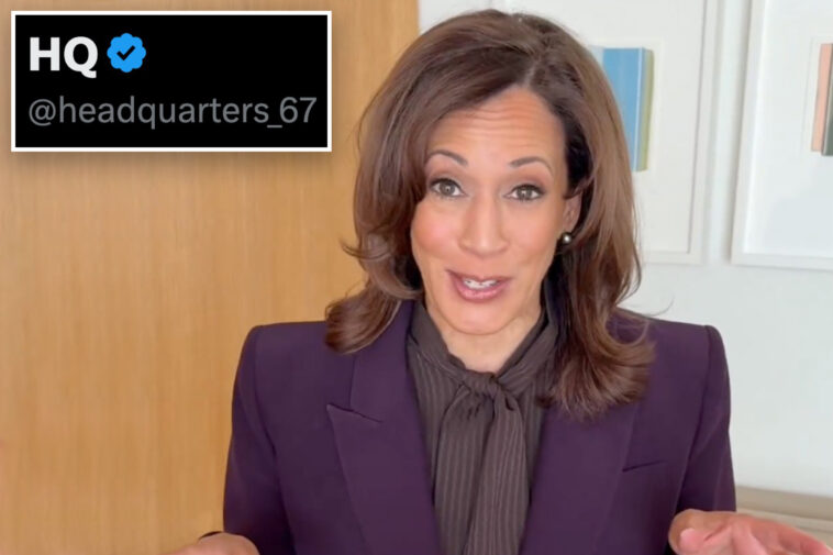 kamala-harris-skewered-for-‘cringe’-attempt-to-use-gen.-alpha-brainrot-slang-on-rebranded-campaign