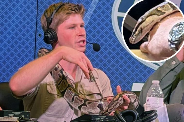 robert-irwin-strolls-around-super-bowl-radio-row-with-massive-snake