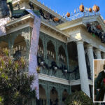 disneyland-super-fans-can-now-get-married-at-this-iconic-attraction