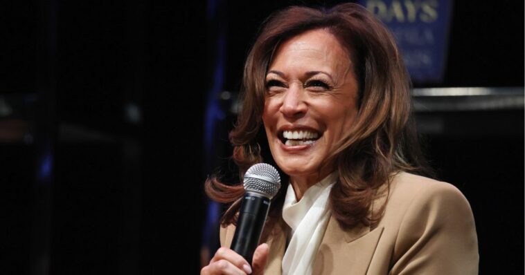 kamala-harris-gives-clearest-indication-yet-that-she’s-running-in-2028,-restarts-2024-machine