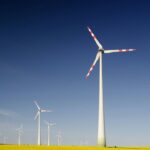 minnesota-green-energy-program-funded-by-obama-fined-for-killing-bald-eagle:-‘national-treasure’