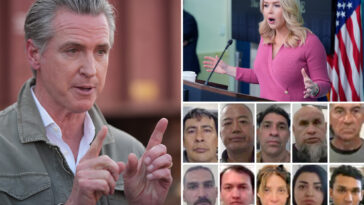 white-house-press-secretary-karoline-leavitt-pounces-on-gavin-newsom-over-release-of-jailed-illegal-immigrants