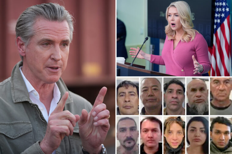 white-house-press-secretary-karoline-leavitt-pounces-on-gavin-newsom-over-release-of-jailed-illegal-immigrants
