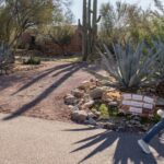 nancy-guthrie’s-neighbor-details-mysterious-sighting-shortly-before-disappearance