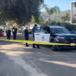 shocking-footage-shows-horrifying-moment-knife-wielding-‘psychopath’-neighbor-stabs-girl,-10,-and-grandfather