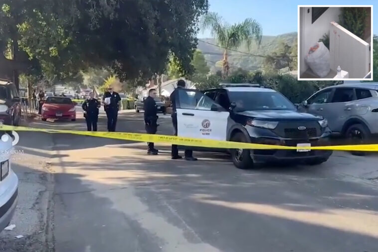 shocking-footage-shows-horrifying-moment-knife-wielding-‘psychopath’-neighbor-stabs-girl,-10,-and-grandfather