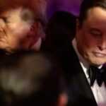 was-president-trump’s-spat-with-elon-musk-all-a-setup-to-push-democrat-epstein-crimes?