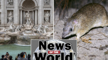 news-of-the-world:-what-you-missed-this-week-internationally