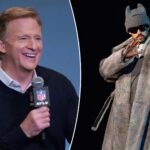 everything-in-roger-goodell’s-nfl-is-designed-to-make-you-feel-sick