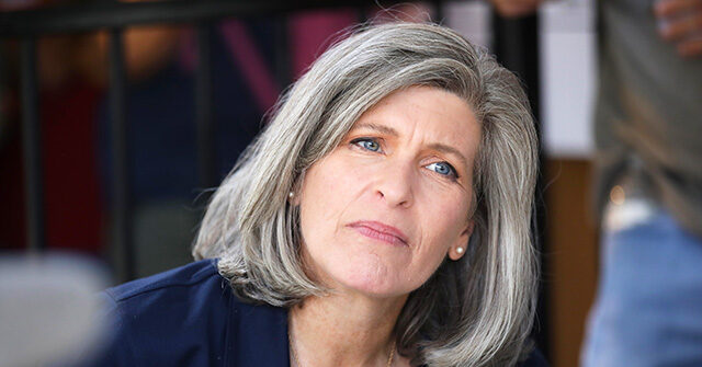 ernst:-cross-referencing-ssns-is-key-to-catch-illegals-holding-cdls,-study-minnesota-fraudsters-to-see-if-that-was-‘template’