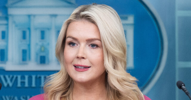 exclusive–karoline-leavitt:-‘tom-homan-is-the-perfect-guy-to-be-in-charge-of-minneapolis’