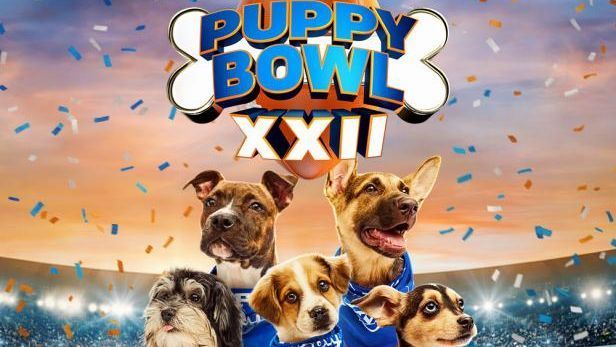from-josh-howlin-to-barker-playfield:-nfl-inspired-pups-headline-puppy-bowl-xxii