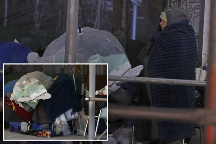 mumbling-homeless-woman-left-to-spend-bone-chilling-night-on-nyc-sidewalk-—-as-city-workers-say-their-‘hands-are-tied’