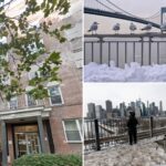 nyc-man,-81,-found-dead-on-building-roof-during-near-record-low-cold-snap