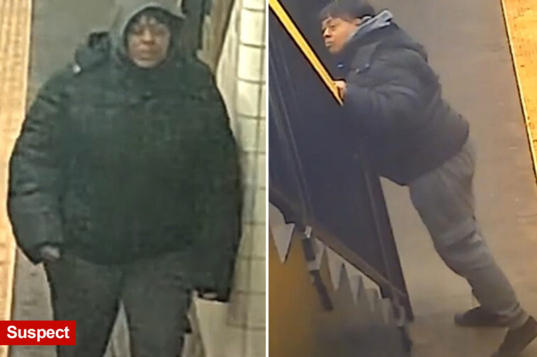 maniac-shoves-58-year-old-straphanger-onto-nyc-subway-tracks-during-random-attack:-cops